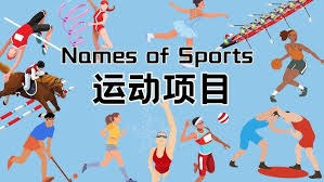 Sportradar与WTA签订数据合作